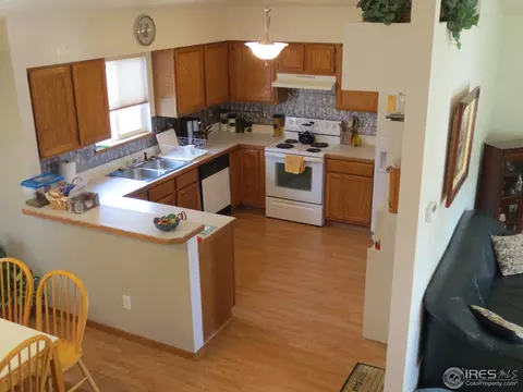1113 Valley Pl, Windsor, CO 80550 photo 4