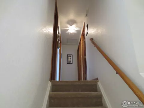 1113 Valley Pl, Windsor, CO 80550 photo 7