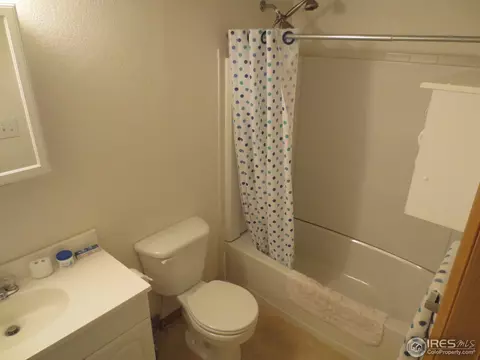1113 Valley Pl, Windsor, CO 80550 photo 13