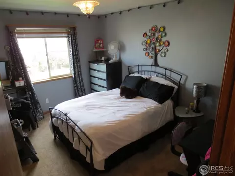 1113 Valley Pl, Windsor, CO 80550 photo 8