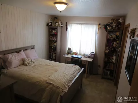 1113 Valley Pl, Windsor, CO 80550 photo 10