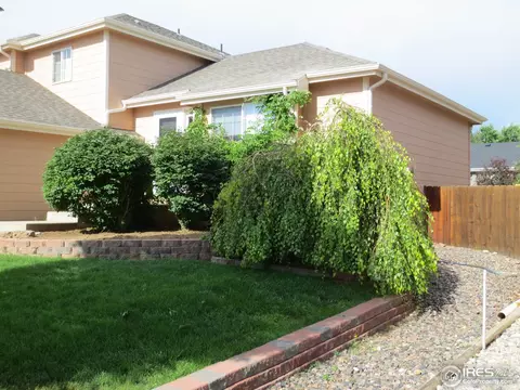 1113 Valley Pl, Windsor, CO 80550 photo 2