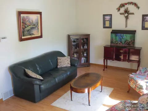 1113 Valley Pl, Windsor, CO 80550 photo 3