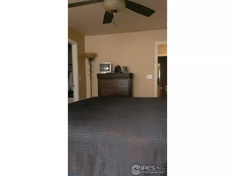 9518 Halstead Ln, Lone Tree, CO 80124 photo 11