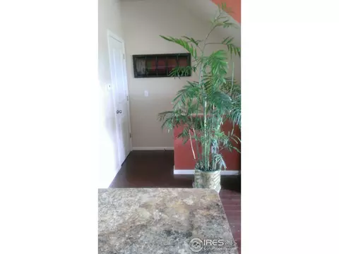 9518 Halstead Ln, Lone Tree, CO 80124 photo 8