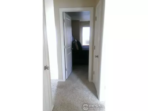 9518 Halstead Ln, Lone Tree, CO 80124 photo 16