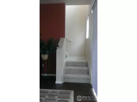 9518 Halstead Ln, Lone Tree, CO 80124 photo 9