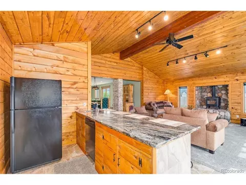 115 County Road 1014, Silverthorne, CO 80498 photo 10