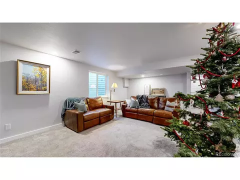518 Vivian St, Severance, CO 80546 photo 25