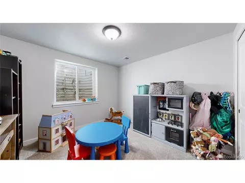 518 Vivian St, Severance, CO 80546 photo 27
