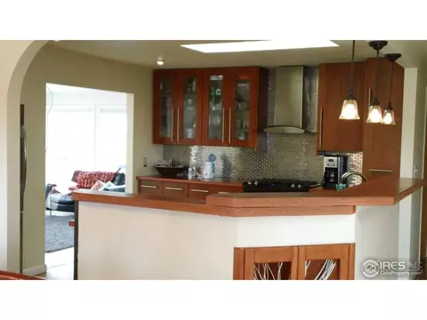 1125 Utica Ave, Boulder, CO 80304 photo 6