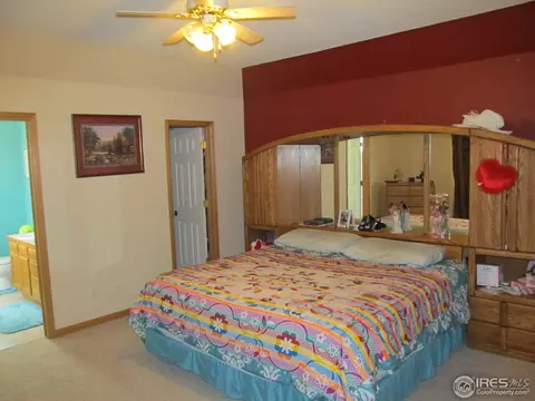 363 Sorrel Dr, Windsor, CO 80550 photo 7