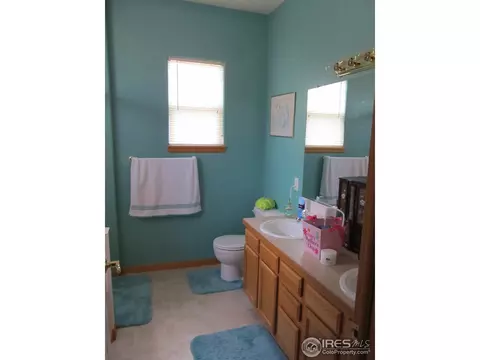 363 Sorrel Dr, Windsor, CO 80550 photo 8