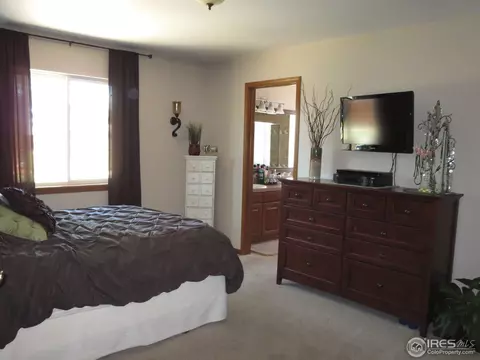 702 Cornerstone Dr, Windsor, CO 80550 photo 7