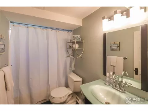3063 Albion St, Denver, CO 80207 photo 20