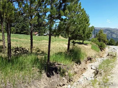 1110 Deer Trail Rd, Boulder, CO 80302 photo 8