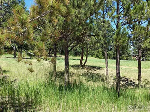 1110 Deer Trail Rd, Boulder, CO 80302 photo 3
