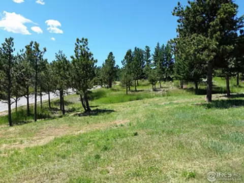 1110 Deer Trail Rd, Boulder, CO 80302 photo 5