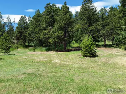1110 Deer Trail Rd, Boulder, CO 80302 photo 6