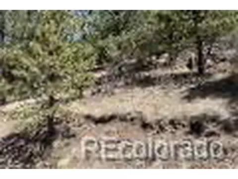 2988 Marcey Rd, Westcliffe, CO 81252 photo 4