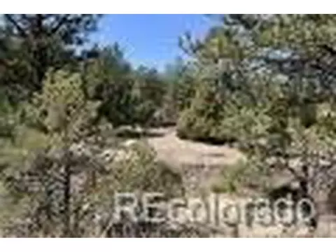 2988 Marcey Rd, Westcliffe, CO 81252 photo 3