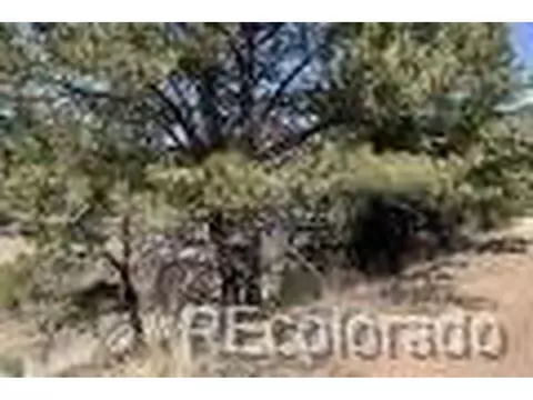 2988 Marcey Rd, Westcliffe, CO 81252 photo 1