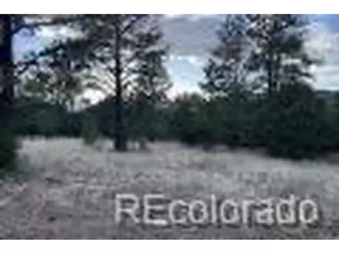 2988 Marcey Rd, Westcliffe, CO 81252 photo 2