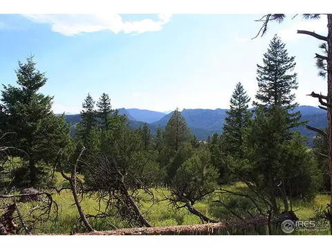 5204 Longmont Dam Rd, Lyons, CO 80540 photo 2