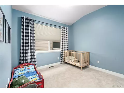 1789 Long Shadow Dr, Windsor, CO 80550 photo 19