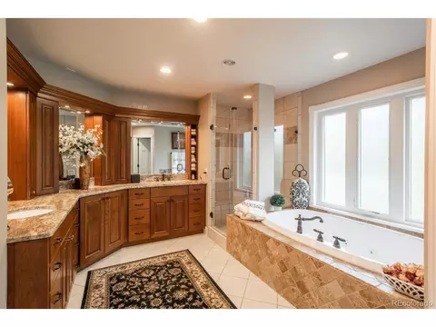 8548 Colonial Dr, Lone Tree, CO 80124 photo 20