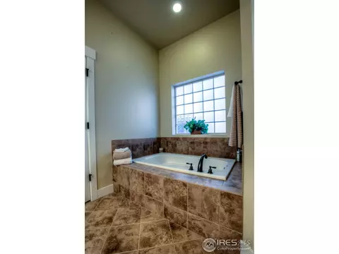 1531 Sandy Ln, Windsor, CO 80550 photo 15