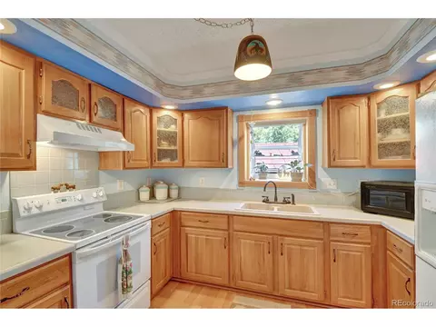 4075 Omer Ln, Divide, CO 80814 photo 10