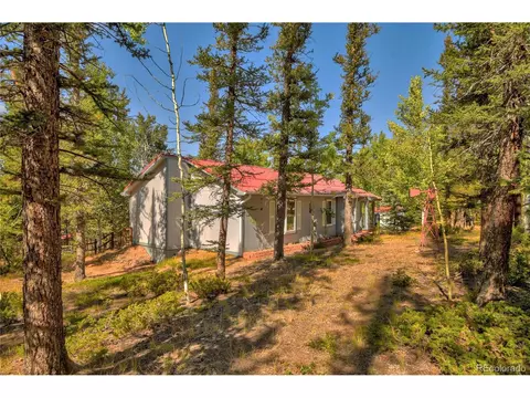 4075 Omer Ln, Divide, CO 80814 photo 3