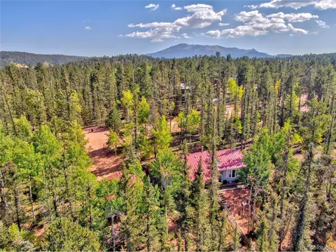 4075 Omer Ln, Divide, CO 80814 photo 4