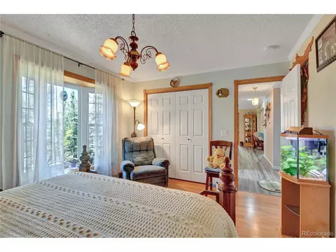 4075 Omer Ln, Divide, CO 80814 photo 15