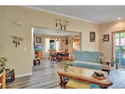 4075 Omer Ln, Divide, CO 80814 photo 8