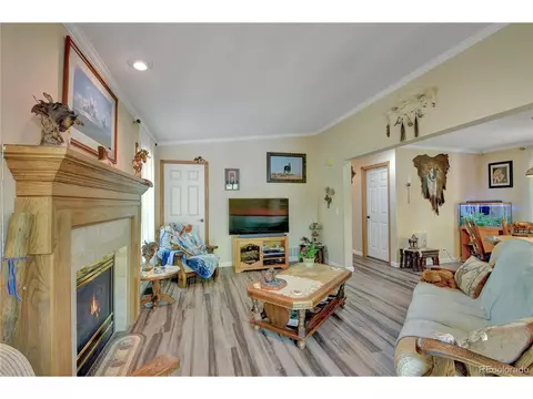 4075 Omer Ln, Divide, CO 80814 photo 6