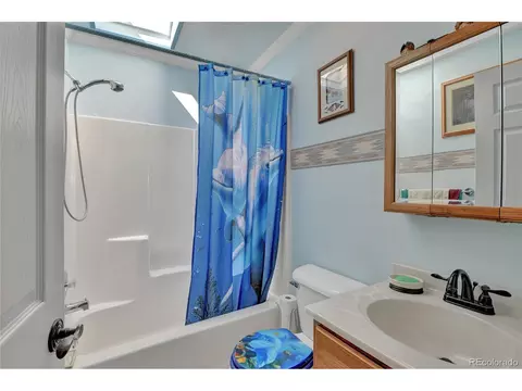 4075 Omer Ln, Divide, CO 80814 photo 18