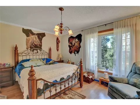 4075 Omer Ln, Divide, CO 80814 photo 14