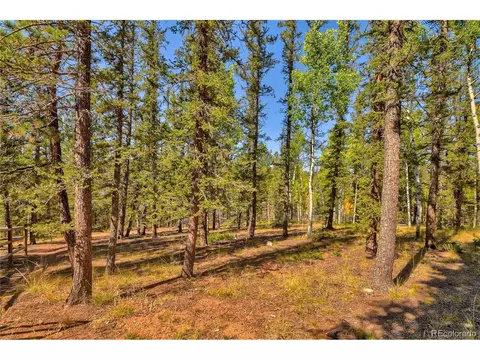 4075 Omer Ln, Divide, CO 80814 photo 31