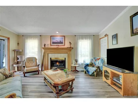 4075 Omer Ln, Divide, CO 80814 photo 7