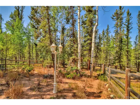 4075 Omer Ln, Divide, CO 80814 photo 26