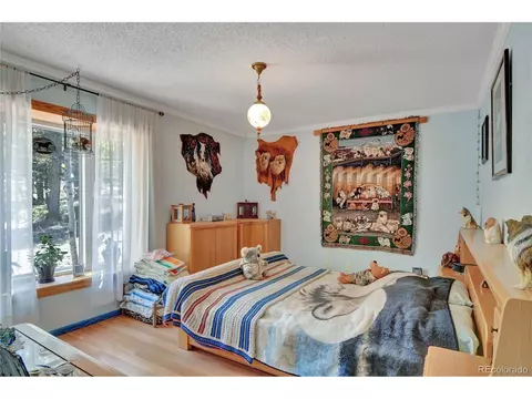 4075 Omer Ln, Divide, CO 80814 photo 16
