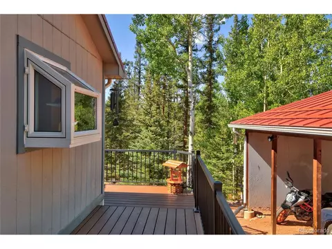 4075 Omer Ln, Divide, CO 80814 photo 21