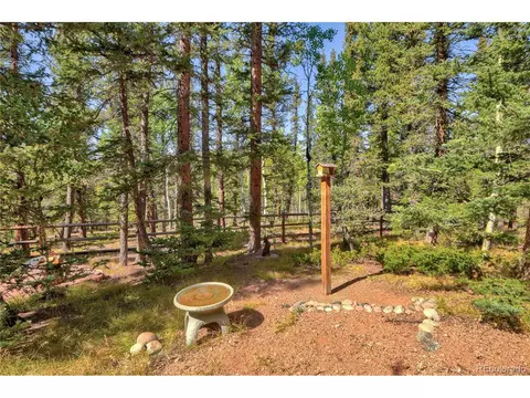 4075 Omer Ln, Divide, CO 80814 photo 32