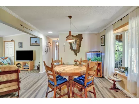 4075 Omer Ln, Divide, CO 80814 photo 13