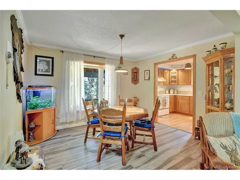 4075 Omer Ln, Divide, CO 80814 photo 9
