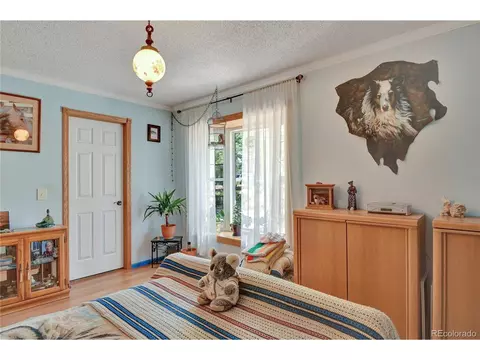 4075 Omer Ln, Divide, CO 80814 photo 17