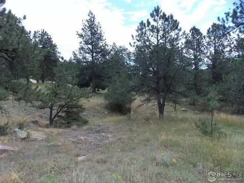 322 Cree Ct, Lyons, CO 80540 photo 25