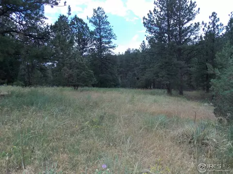 322 Cree Ct, Lyons, CO 80540 photo 14